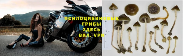 герыч Саяногорск