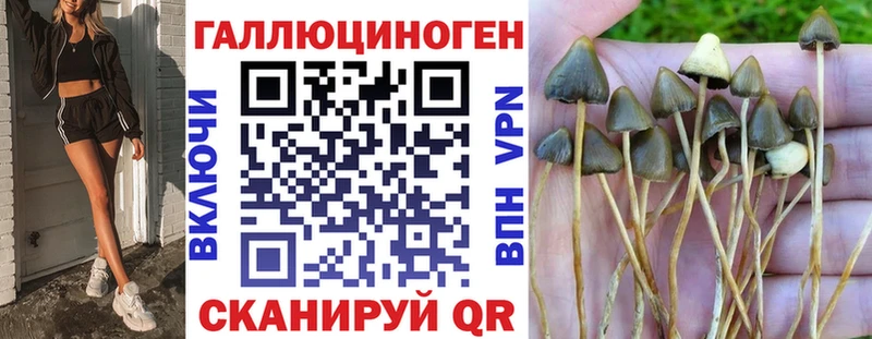 Галлюциногенные грибы MAGIC MUSHROOMS  Купить  Аша 